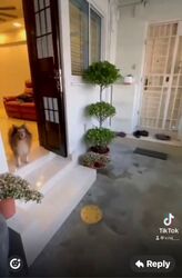 Blk 166 Woodlands Street 13 (Woodlands), HDB 3 Rooms #609100601